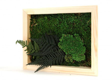 /products/quadro-naturale-in-muschio-piatto-e-foglie-sottobosco/