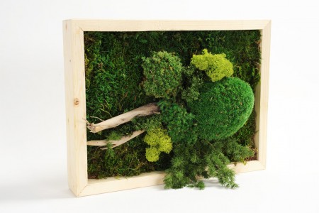 /products/quadri-naturali-a-lunga-durata/